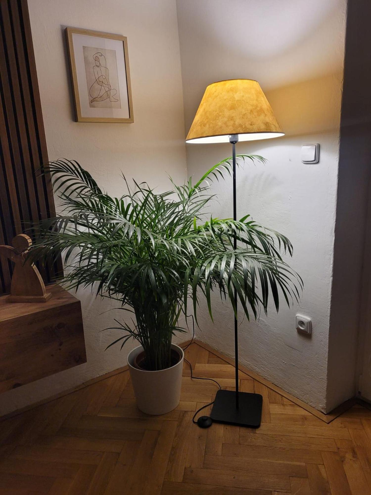 Novy Apartman Eva Jicin Bagian luar foto