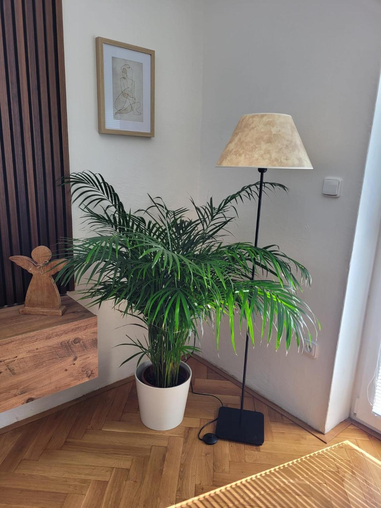 Novy Apartman Eva Jicin Bagian luar foto